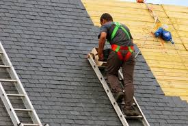 Best Solar Panel Roofing Installation  in Lamont, MI